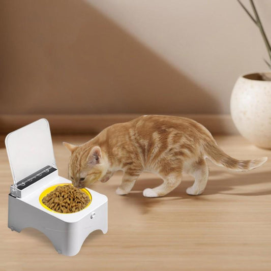 Pet Bowls Smart Feeder with Infrared Sensor Automatic Lid Cat And Bowl Food Dispenser