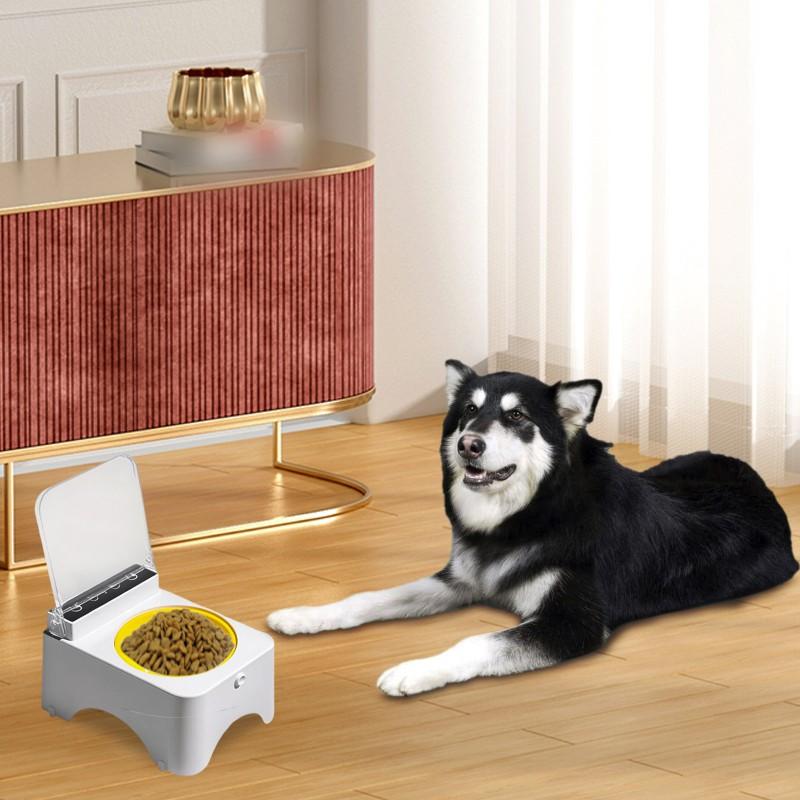 Pet Bowls Smart Feeder with Infrared Sensor Automatic Lid Cat And Bowl Food Dispenser