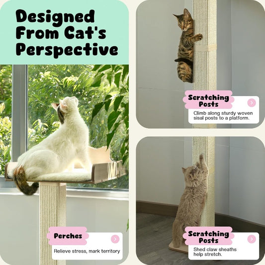 Cat Window Perch with Thick Sisal Scratching Post | Adjustable Tall Cats Scratching Post with 2 Upgrade Suction Cups, Fluffy Cushion Sisal