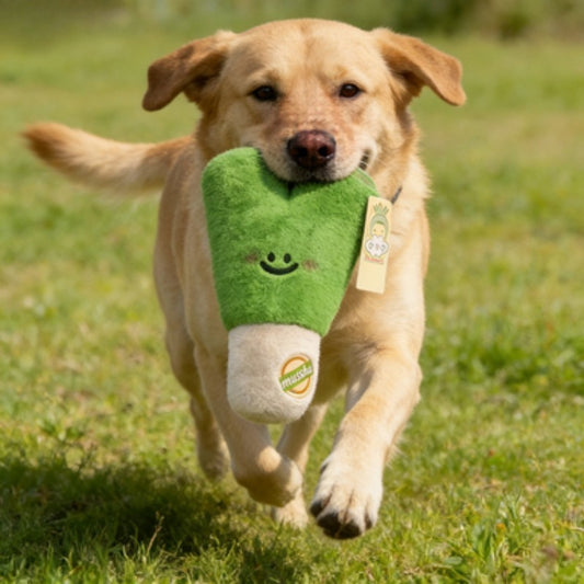 1pc plush dog toy scallion ginger garlic, interactive dog toy for boredom relief