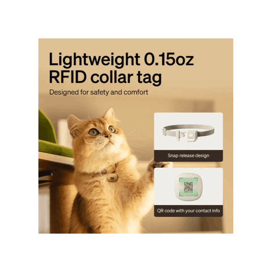 Auto Cat Feeder, Collar Sensor Feed, Multi - Pet Homes Diet Track, 5G2.4G Wi - Fi Cat Food Dispenser