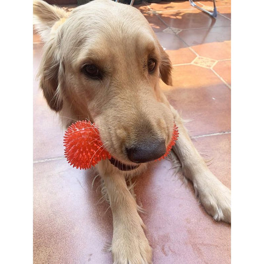 6 Pack Jalousie Non-Toxic Squeaky Dog Chew Toys Set - TPR Rubber Spiky Balls & Chewers with Loud Squeaker, Tough Chew-Resistant Puppy Toys for Small & Medium Dogs, Fetch, Tug-of-War, Assorted Colors (, Green, Orange, Red, Purple