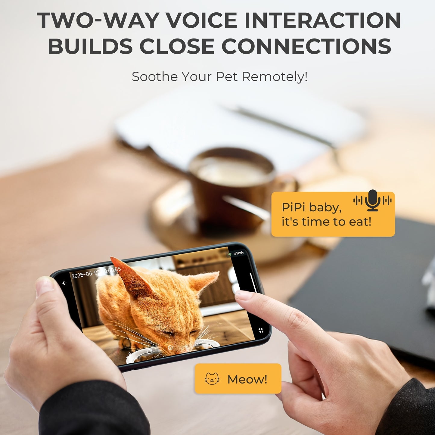 1.59gal Automatic Cat and Dog Feeder with Camera | Large Capacity, Adjustable Camera, HD Night Vision, Two-way Audio, Remote APP Control, Dual Power, Easy-to-Clean Stainless Steel Bowl, Wi-Fi Function, Without Battery