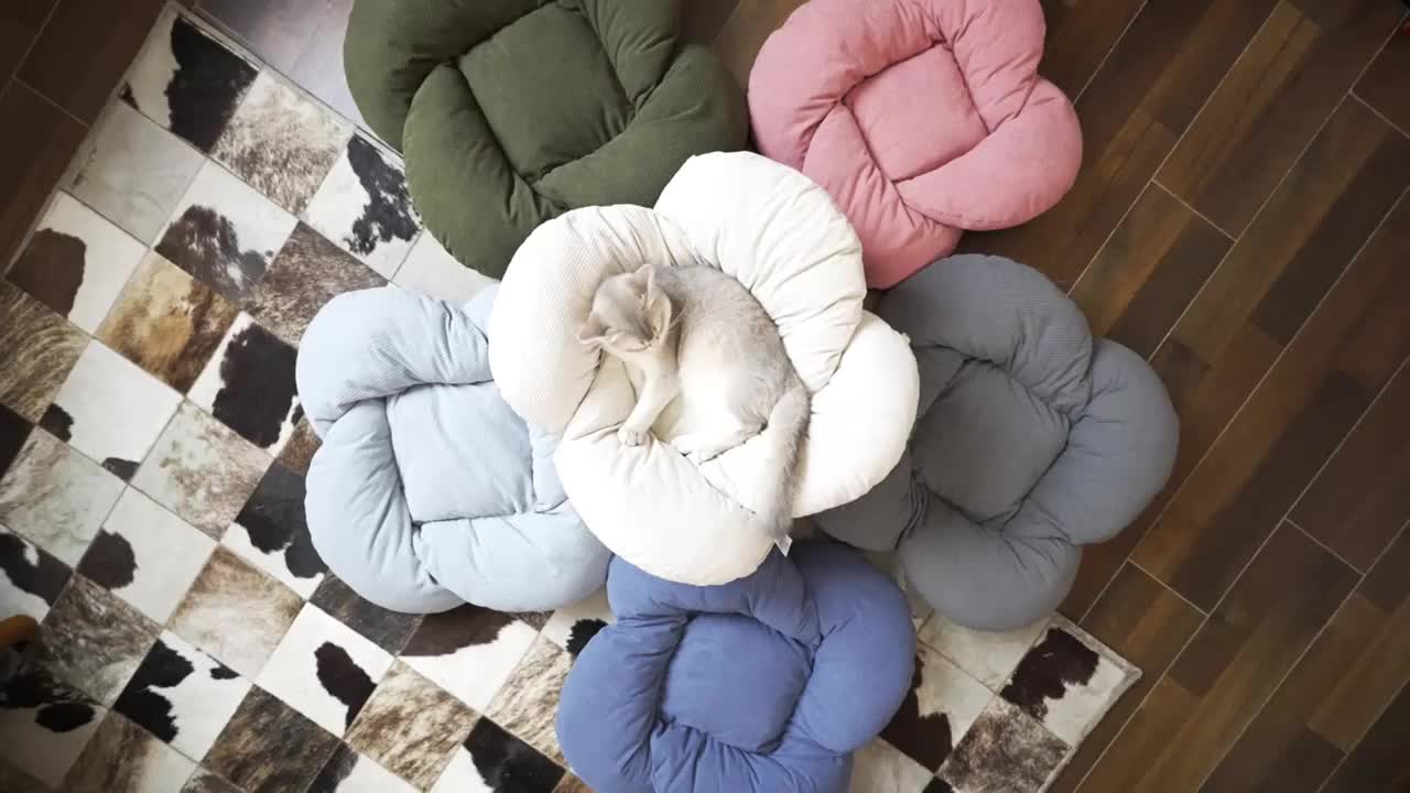 Wooden Raised Pet Sofa | With Fluffy Polyester Fiber Cushion, Indoor Leisure Chair for Cats and Small Dogs, Modern for cat Furniture, Thick Filling, Solid Structure, Detachable Cover