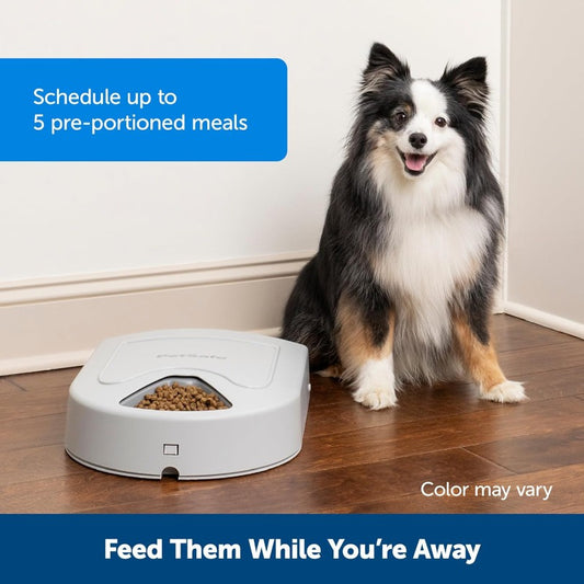 Automatic Dog Feeder 5 Meals 40oz Capacity Plastic for Dry Food Multiple Pets, Smart Pet Feeder with Easy-Read Display, Battery-Free Operation, Durable Design for Healthy Eating, Pet Food Storage, Modern Pet Accessory, Easyclean Material