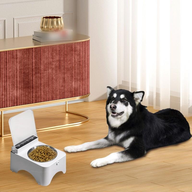 Pet Bowls Smart Feeder with Infrared Sensor Automatic Lid Cat And Bowl Food Dispenser