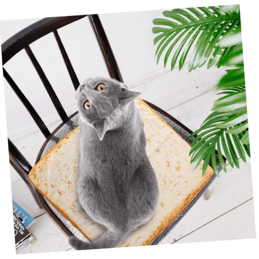 Realistic Toast Bread Cat Bed - Plush Pet Pad with Bite Surface and Soft Lining, Easy to Clean Cat Nest, Perfect for All Season Indoor\Outdoor Use - Perfect for Cats and Anime Fans, Household Pets