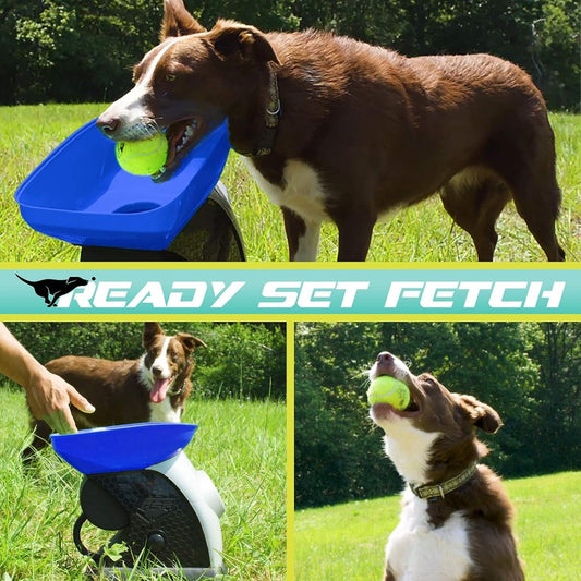Ready Set Fetch Automatic Tennis Ball Launcher Dog Toy | Electronic Thrower for Fetch + Playtime - Launches up to 40 Feet - Official Size - Contains Electronic Components, Without Battery