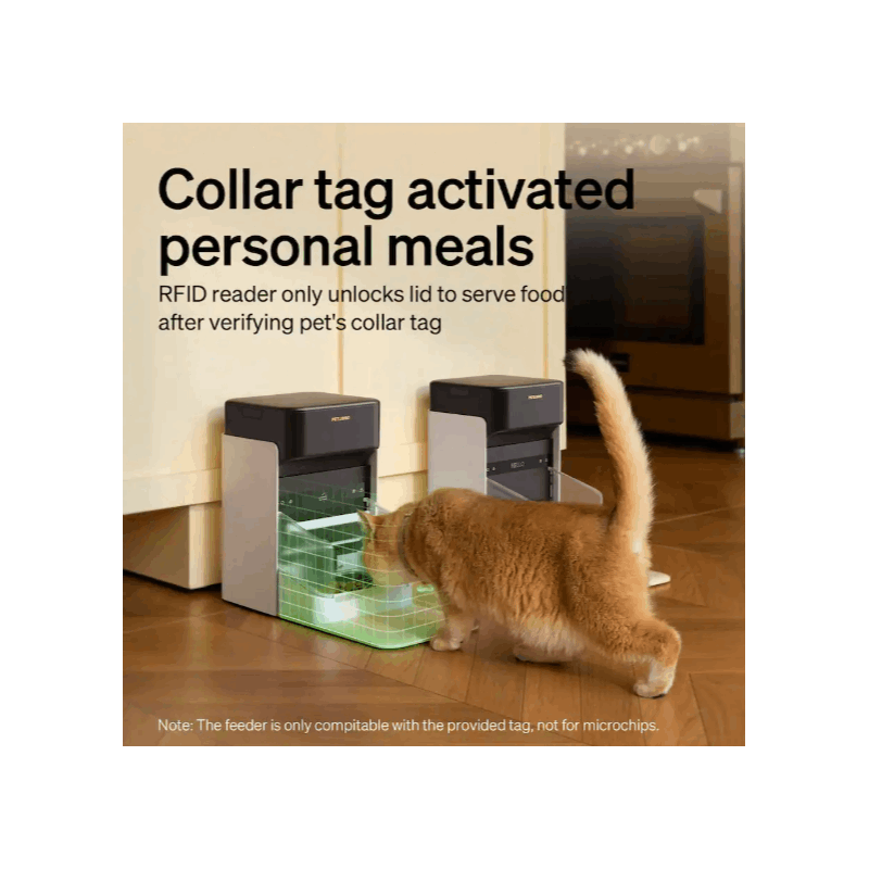Auto Cat Feeder, Collar Sensor Feed, Multi - Pet Homes Diet Track, 5G2.4G Wi - Fi Cat Food Dispenser