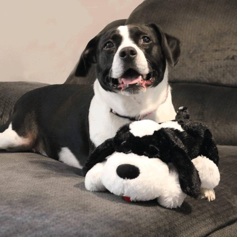 Special Edition Plush-like Heartbeat Dog - Huggable Stuffed Anxiety Relief & Calming Aid for Puppies & Large Breeds, -Reducing Companion with Realistic Heartbeat, Durable Black & White Comfort for Behavioral Training