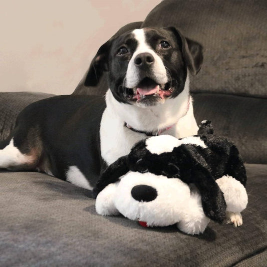 Special Edition Plush-like Heartbeat Dog - Huggable Stuffed Anxiety Relief & Calming Aid for Puppies & Large Breeds, -Reducing Companion with Realistic Heartbeat, Durable Black & White Comfort for Behavioral Training
