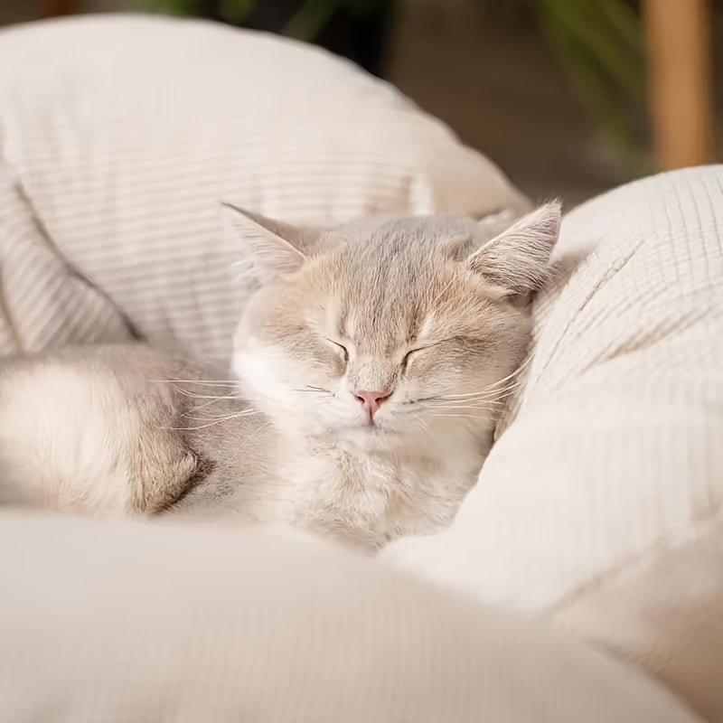 Wooden Raised Pet Sofa | With Fluffy Polyester Fiber Cushion, Indoor Leisure Chair for Cats and Small Dogs, Modern for cat Furniture, Thick Filling, Solid Structure, Detachable Cover