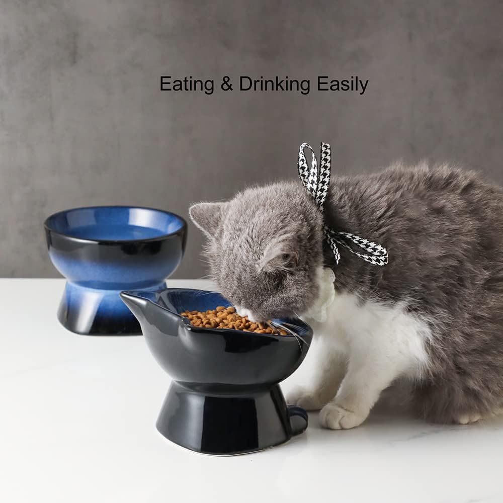 Elevated Cat\Dog Bowls Set: 5 Inch Ceramic Raised Cat Food and Water Bowl Set for Protecting Pet'S Spine- Feeding& Watering Supplies for Pets- Elegant Blue& Black (2pcs)